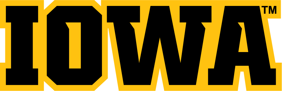 Iowa Hawkeyes 2012-Pres Wordmark Logo t shirts iron on transfers...